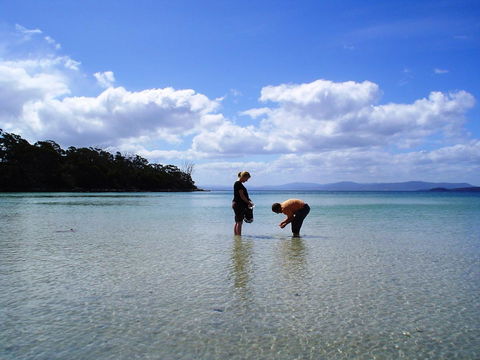 Bruny Island Escapes And Hotel Bruny - Northern Rivers Accommodation 36