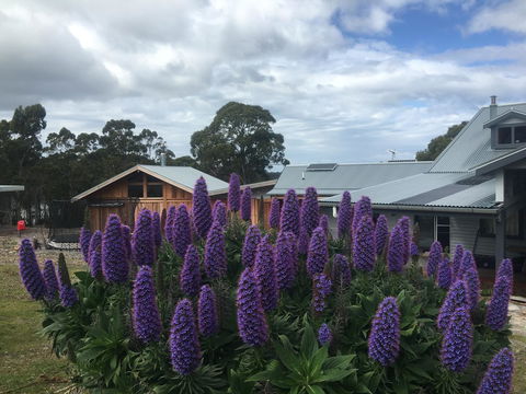 Bruny Island Lodge - Northern Rivers Accommodation 5