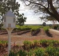 'In The Vines' Guest Cottage Barossa Valley - Northern Rivers Accommodation
