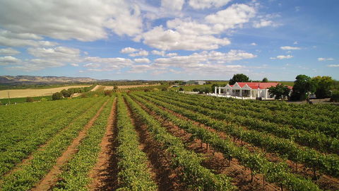 1837 Barossa Luxury Vineyard Cottages - Northern Rivers Accommodation 0