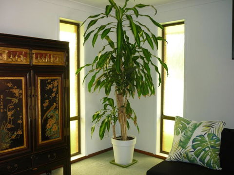 BILL\'S - Northern Rivers Accommodation 1