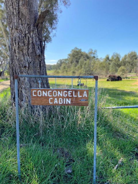 Concongella Cabin - Northern Rivers Accommodation 3