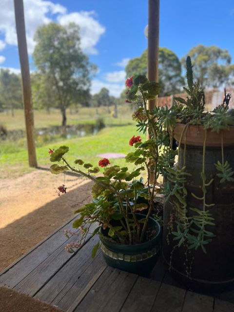 Concongella Cabin - Northern Rivers Accommodation 1