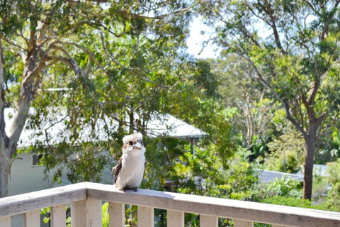Dalesview Retreat - Bring Your Own Linen - Northern Rivers Accommodation 1