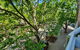 Dana-Spacious Private Room In Shared 2-Bedroom Apartment-2 - thumb 1