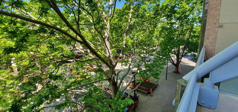 Dana-Spacious Private Room In Shared 2-Bedroom Apartment-2 - Northern Rivers Accommodation 1