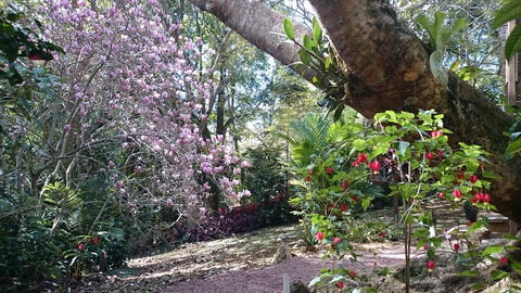 305 Montville - The Artist's Cottage - Northern Rivers Accommodation 3