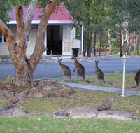 31 The Rocks - Northern Rivers Accommodation