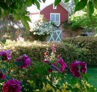 A Country Barn Retreat - Northern Rivers Accommodation