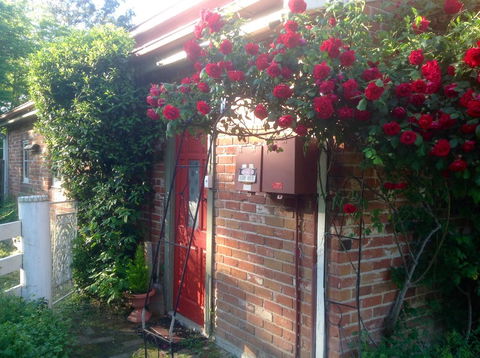 A Country Barn Retreat - Northern Rivers Accommodation 2