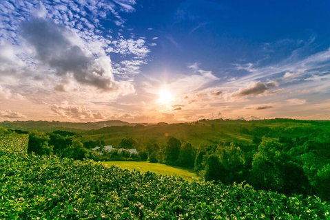 A PERFECT STAY - Byron's Brae - Northern Rivers Accommodation 3
