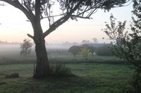 Book Heyfield Accommodation Vacations Northern Rivers Accommodation Northern Rivers Accommodation