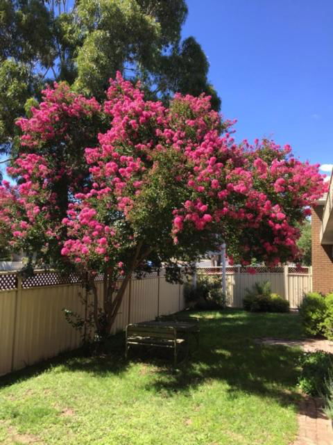 Eaglehawk Motel Bendigo - Northern Rivers Accommodation 4