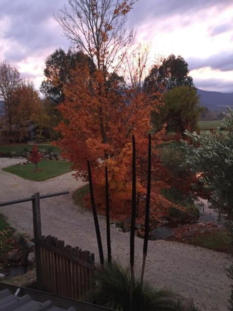 Eco Villa Mt. Beauty-Near Falls Creek & Bright - Northern Rivers Accommodation 3