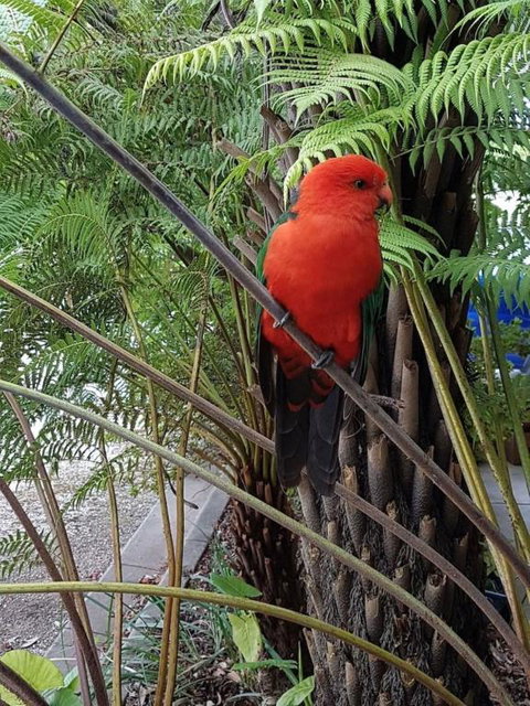 Eildon Parkview Motor Inn Room 8 - Northern Rivers Accommodation 4