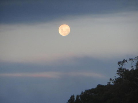 Eildon Parkview Motor Inn Room 8 - Northern Rivers Accommodation 2