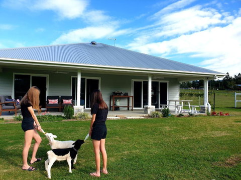 Fig Tree Farm B&B Highvale-Farmstay Near Brisbane! - Northern Rivers Accommodation 0