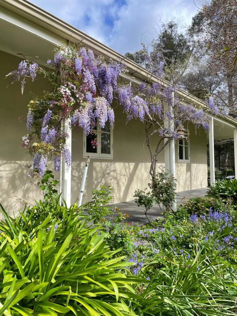 Fleetwood Cottage Bed And Breakfast - Northern Rivers Accommodation 4