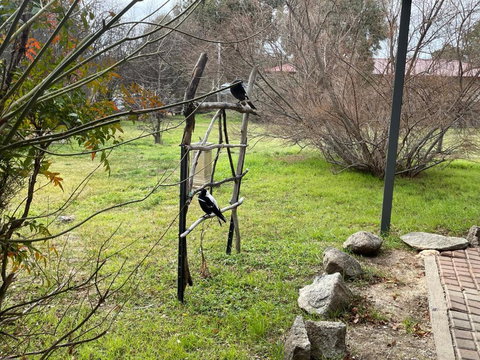 Florence Lodge - Northern Rivers Accommodation 4