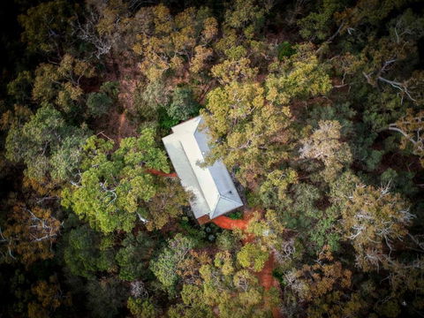 Forest Rise Chalets And Lodge - Northern Rivers Accommodation 2