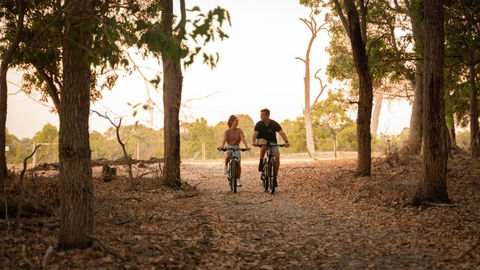 Forest Rise Chalets And Lodge - Northern Rivers Accommodation 4