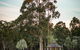 Forest Rise Chalets And Lodge - thumb 0