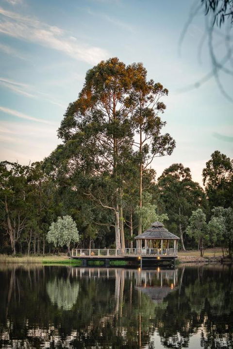 Forest Rise Chalets And Lodge - Northern Rivers Accommodation 0