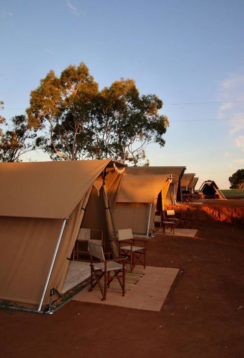 Glamping At Buckland Estate - Northern Rivers Accommodation 1
