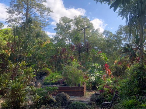 Fun Times - Northern Rivers Accommodation 2