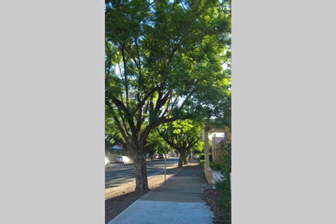 Gawler Heritage Accommodation - Northern Rivers Accommodation 1