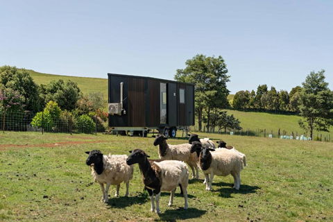 Hillside Hideout By Tiny Away - Northern Rivers Accommodation 2