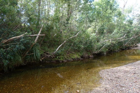 Hilltop House, Truly Unwind - Northern Rivers Accommodation 3