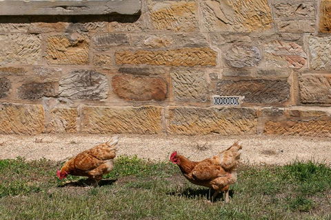 Historic Sandstone Ross Farmhouse - Northern Rivers Accommodation 2