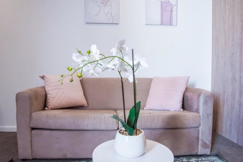 Ideal Cozy 1BR For Your Urban Escape In Gabba - Northern Rivers Accommodation 2