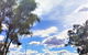 Ironbark Inn - thumb 3