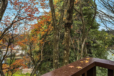 Allambee - Northern Rivers Accommodation 2