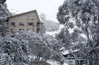 Alpine View Apartments