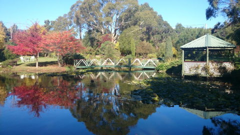 Altona Garden Retreat - Northern Rivers Accommodation 0