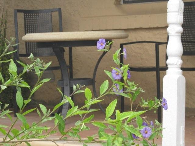 Lameroo SA Northern Rivers Accommodation