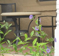 Amalie Cottage Waikerie - Northern Rivers Accommodation