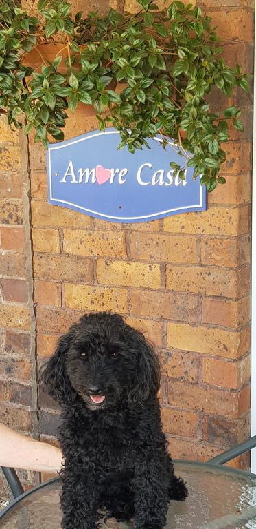 Amore Casa Tenterfield - Northern Rivers Accommodation 2