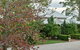 Anduramba Homestead B&B - thumb 2