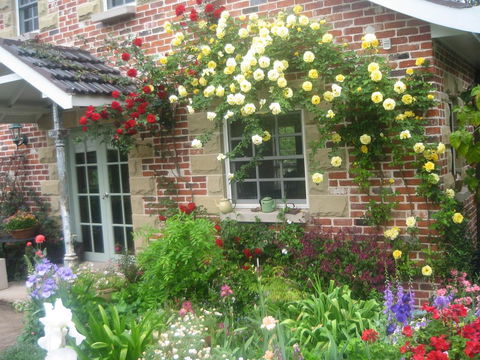 Annie's Cottage - Northern Rivers Accommodation 3