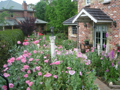 Annie's Cottage - Northern Rivers Accommodation 0