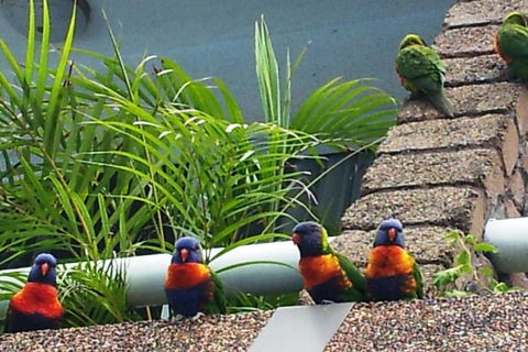 Aquajet Motel - Northern Rivers Accommodation 3