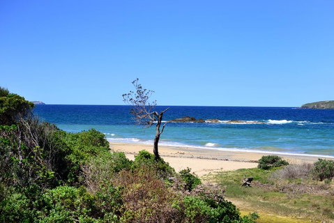 Aqualuna Beach Resort - Unit 25 - Northern Rivers Accommodation 3