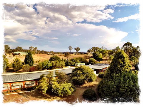 Armidale Rose Villa Motel - Northern Rivers Accommodation 1