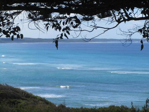 Maizies View - A Hidden Gem - Northern Rivers Accommodation 1