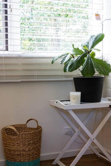 Maldon Cosy Garden Cottage - Charming One Room Studio - Northern Rivers Accommodation 3