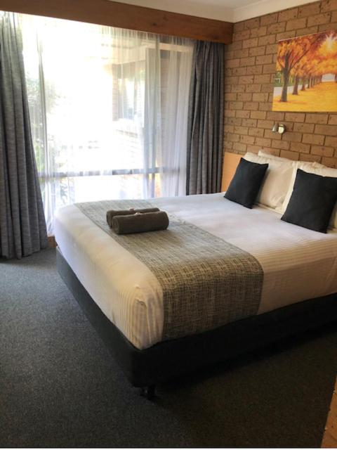 Muswellbrook Motor Inn - Northern Rivers Accommodation 2